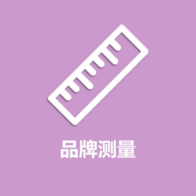 品牌测量